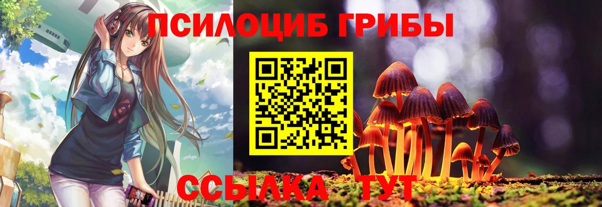 Артём  Галлюциногенные грибы GOLDEN TEACHER  Вход с VPN 