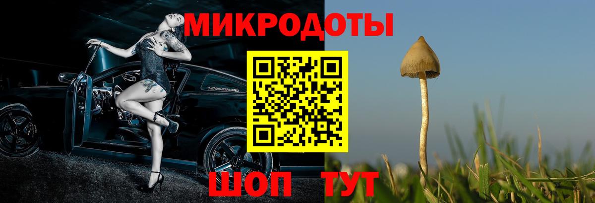 Псилоцибиновые грибы мицелий Артём
